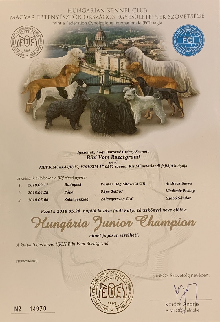 Hungaria Junior Champion