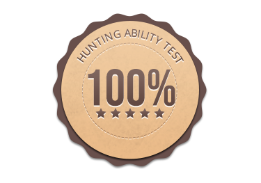 Natural Ability Exam